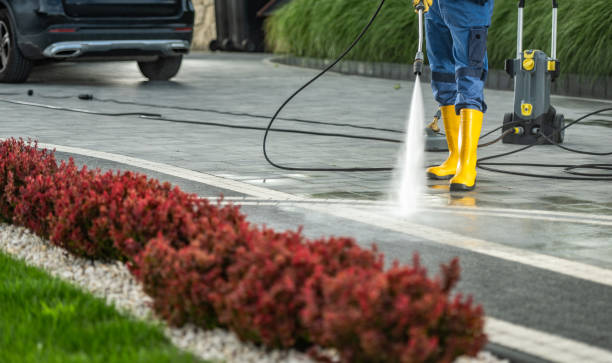 Best Sidewalk and Walkway Cleaning  in Mathews, LA